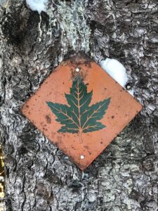 A square metal trail marker from the historic Maple Leaf Trail.