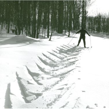 cross country skier making herringbone tracks