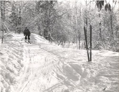 skier in backcountry 85.22.1.13