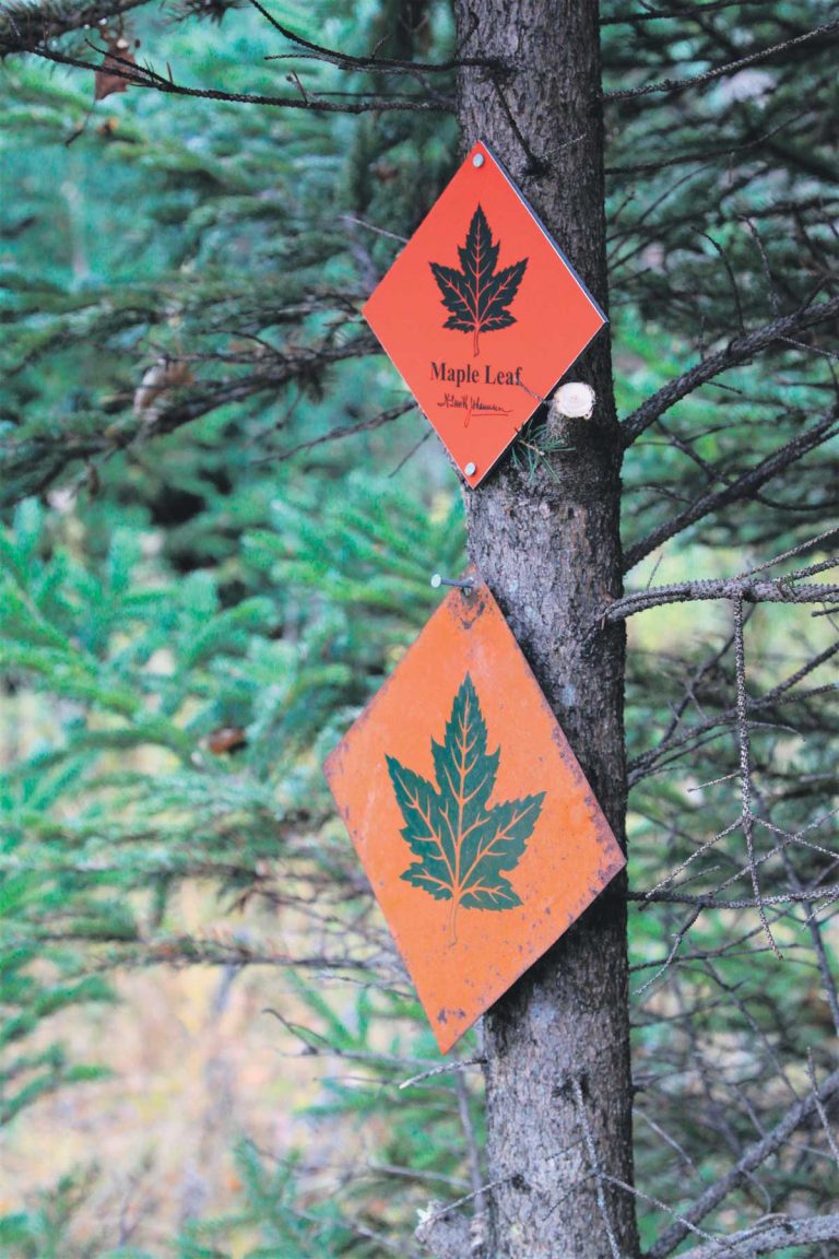 The older and newer versions of the Maple Leaf markers. 